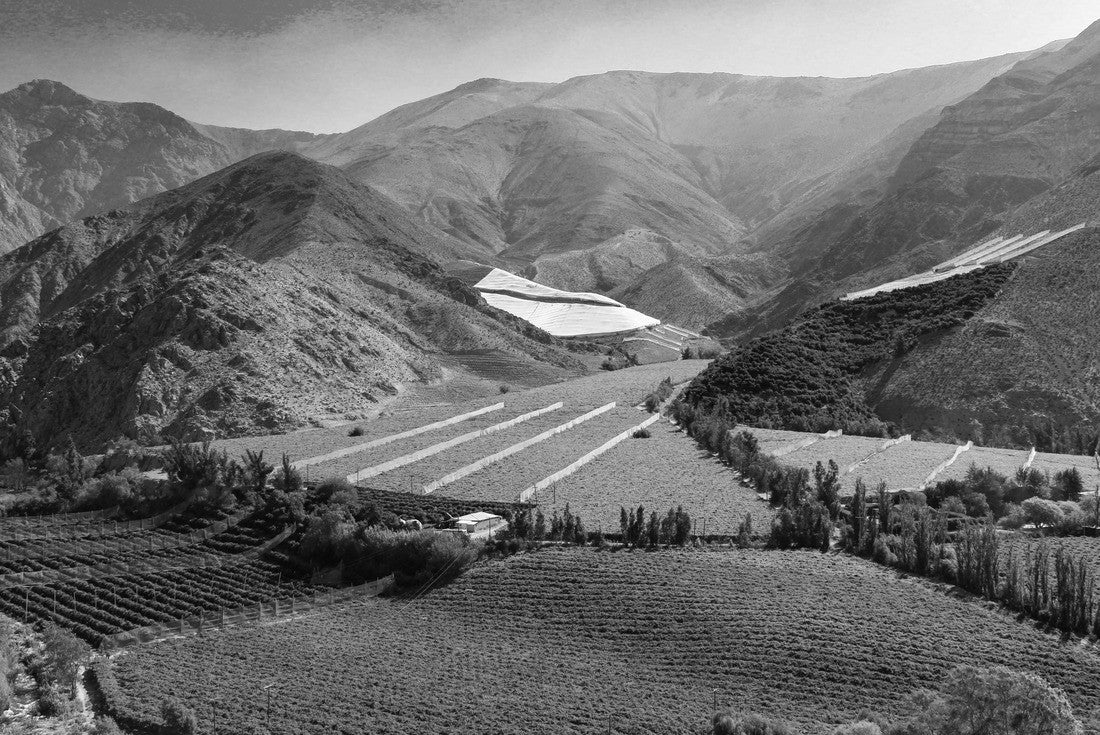 Vineyards under the hills of the Valle del Elqui - Chile 2000pc PuzzleBlack and White