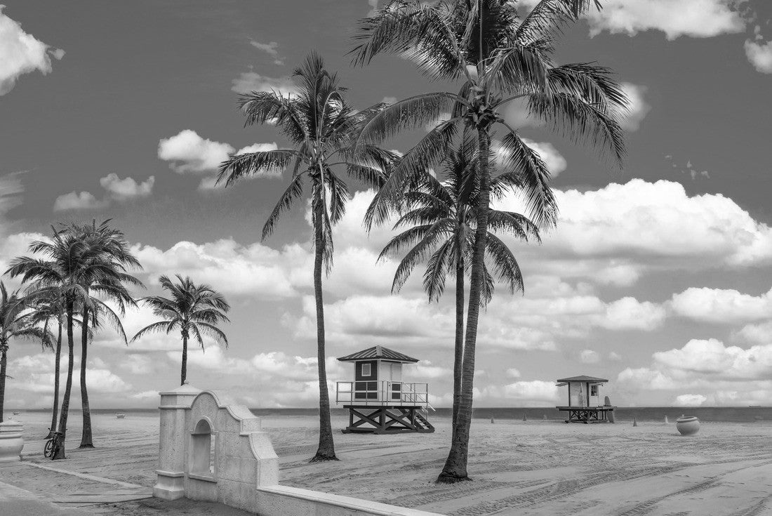 Hollywood Beach with tropical coconut palm trees and boardwalk in Florida 2000pc PuzzleBlack and White