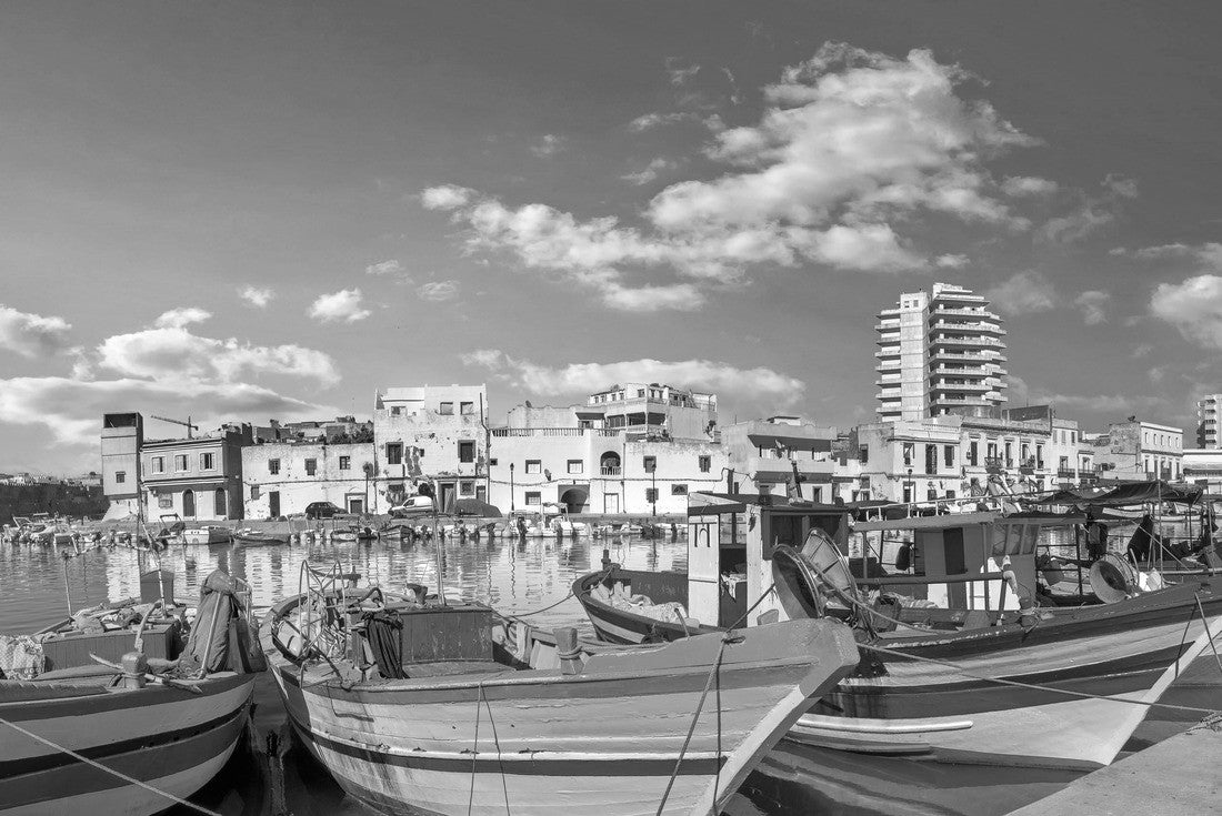 the forest with colorful fishing boats in the old port of Bizerte. Tunisia, North Africa 2000pc PuzzleBlack and White