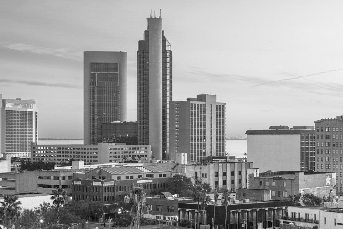 Noah Jigsaw Puzzle Corpus Christi, Texas, USA downtown city skyline at dawn in black white 2000 pieces