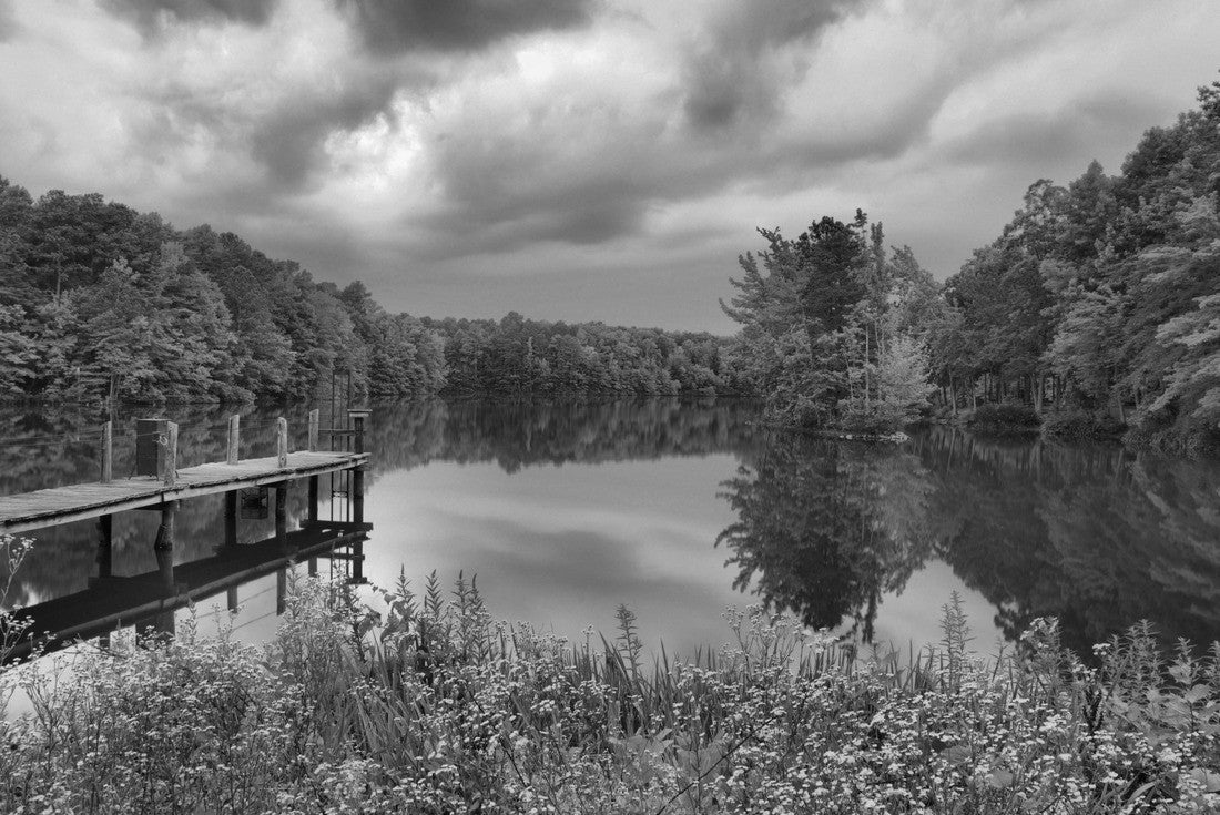 A spring storm passes over a picturesque pond with trees, flowers, a fishing spot and reflection, Madison, Alabama 2000pc PuzzleBlack and White