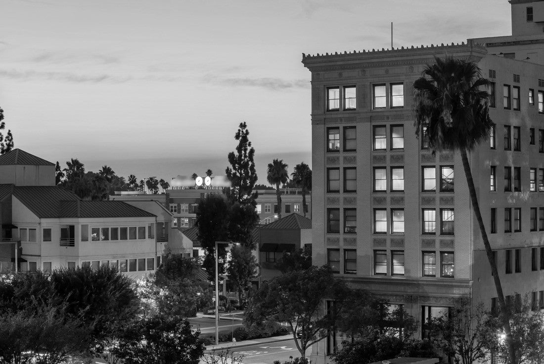 The sun sets on the Anaheim, California skyline 2000pc PuzzleBlack and White
