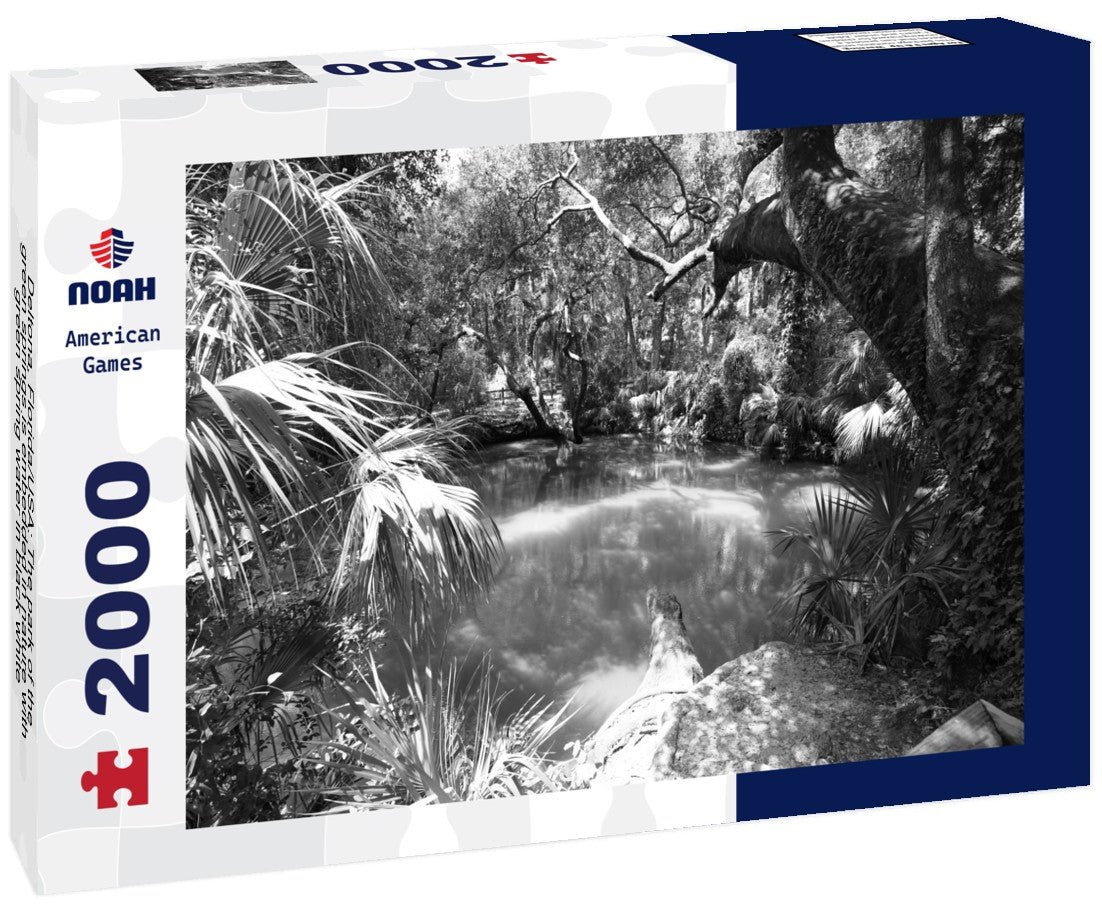 Deltona, Florida/USA: The park of the green springs is embedded in nature with green spring water 2000pc PuzzleBlack and White