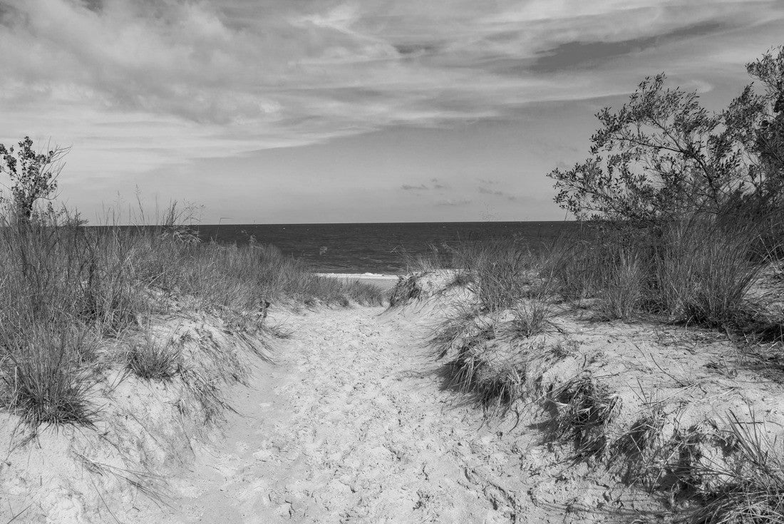 Noah Jigsaw Puzzle Pathway to Kemil Beach on a beautiful September morning. Indiana Dunes National Park, Indiana, USA in black white 2000 pieces