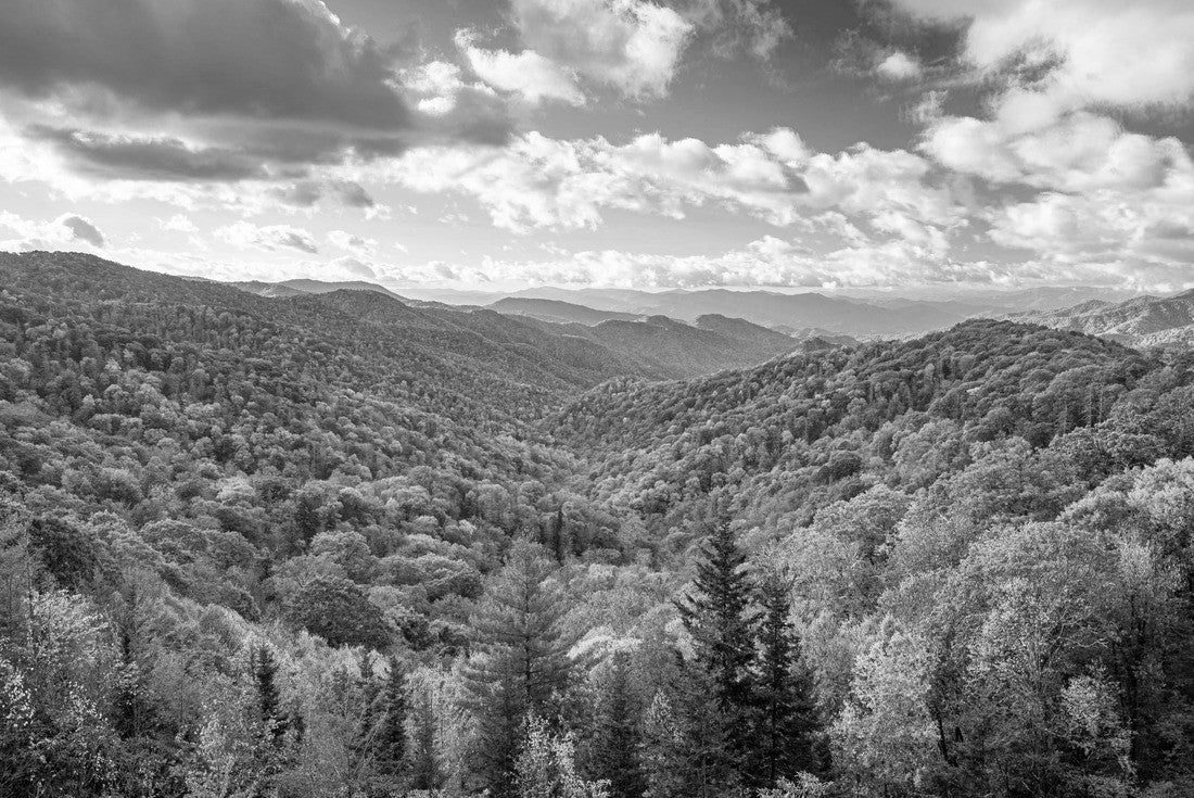 Great Smoky Mountains National Park, Tennessee, USA overlooking the Newfound Pass in autumn 2000pc PuzzleBlack and White