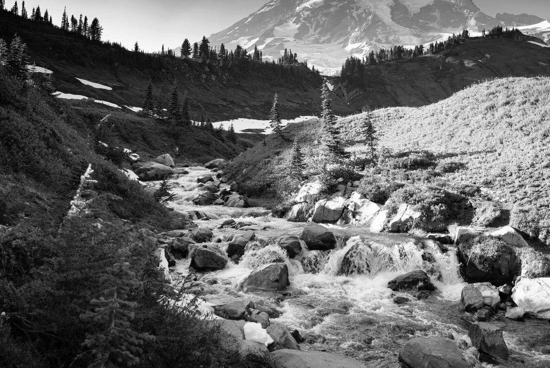 Noah Jigsaw Puzzle Myrtle Falls in Mount Rainier National Park in Washington State in black white 2000 pieces