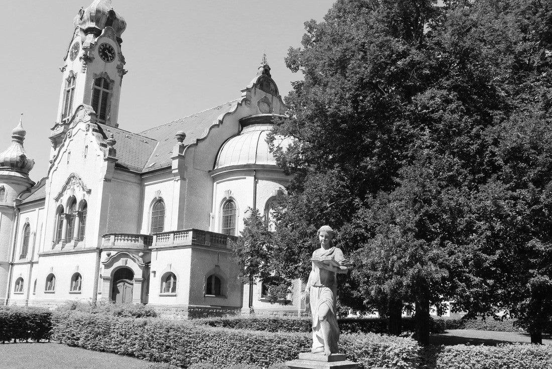 Noah Jigsaw Puzzle View of the Protestant church in the center of Hockenheim in black white 2000 pieces