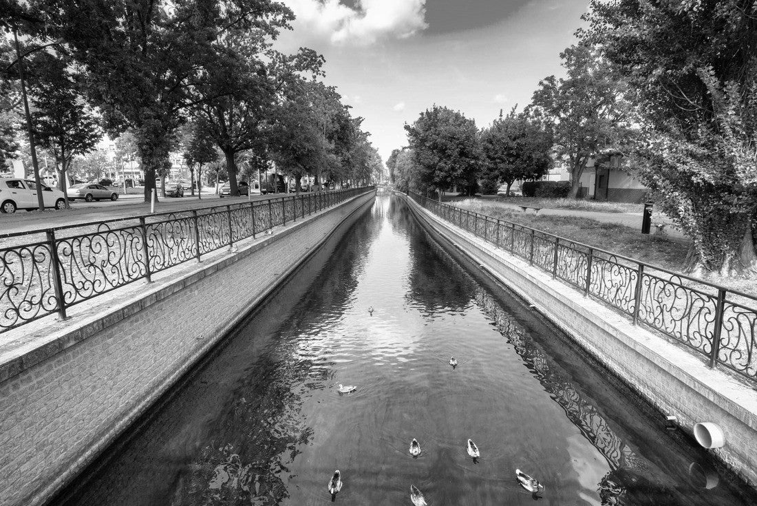 Noah Jigsaw Puzzle Beautiful landscape of the Radunia channel in Pruszcz Gdanski, Poland in black white 2000 pieces