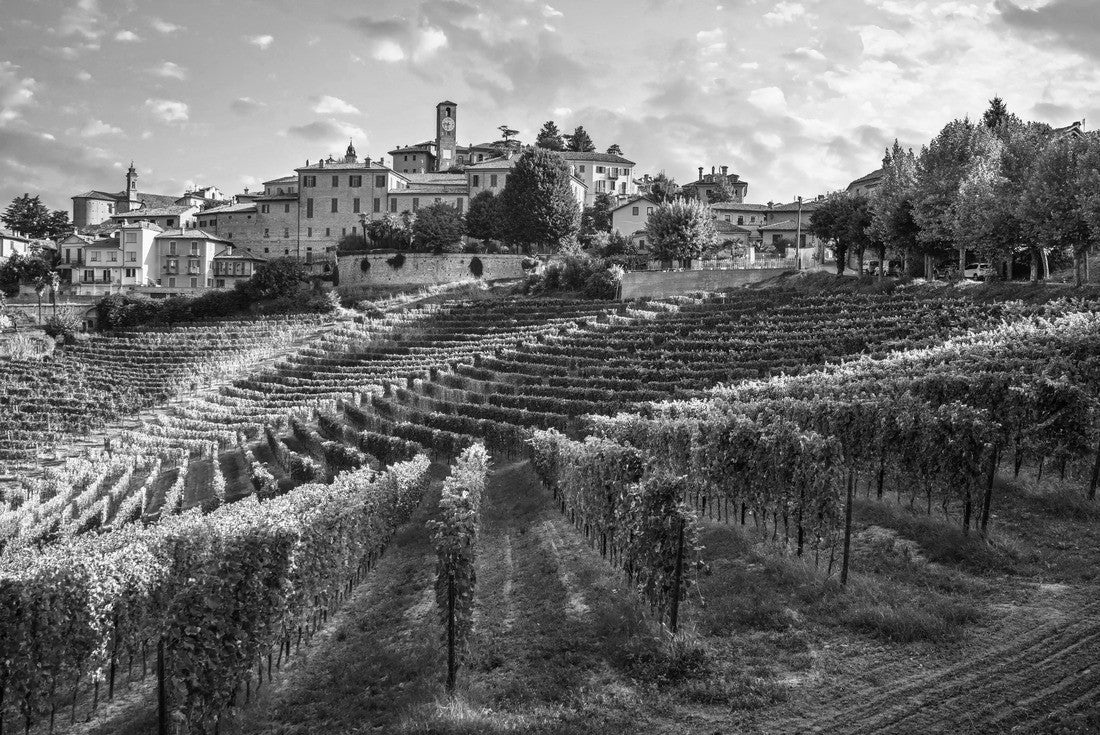 Noah Jigsaw Puzzle Neive village and Langhe vineyards, Unesco site, Piedmont, northern Italy Europe in black white 2000 pieces