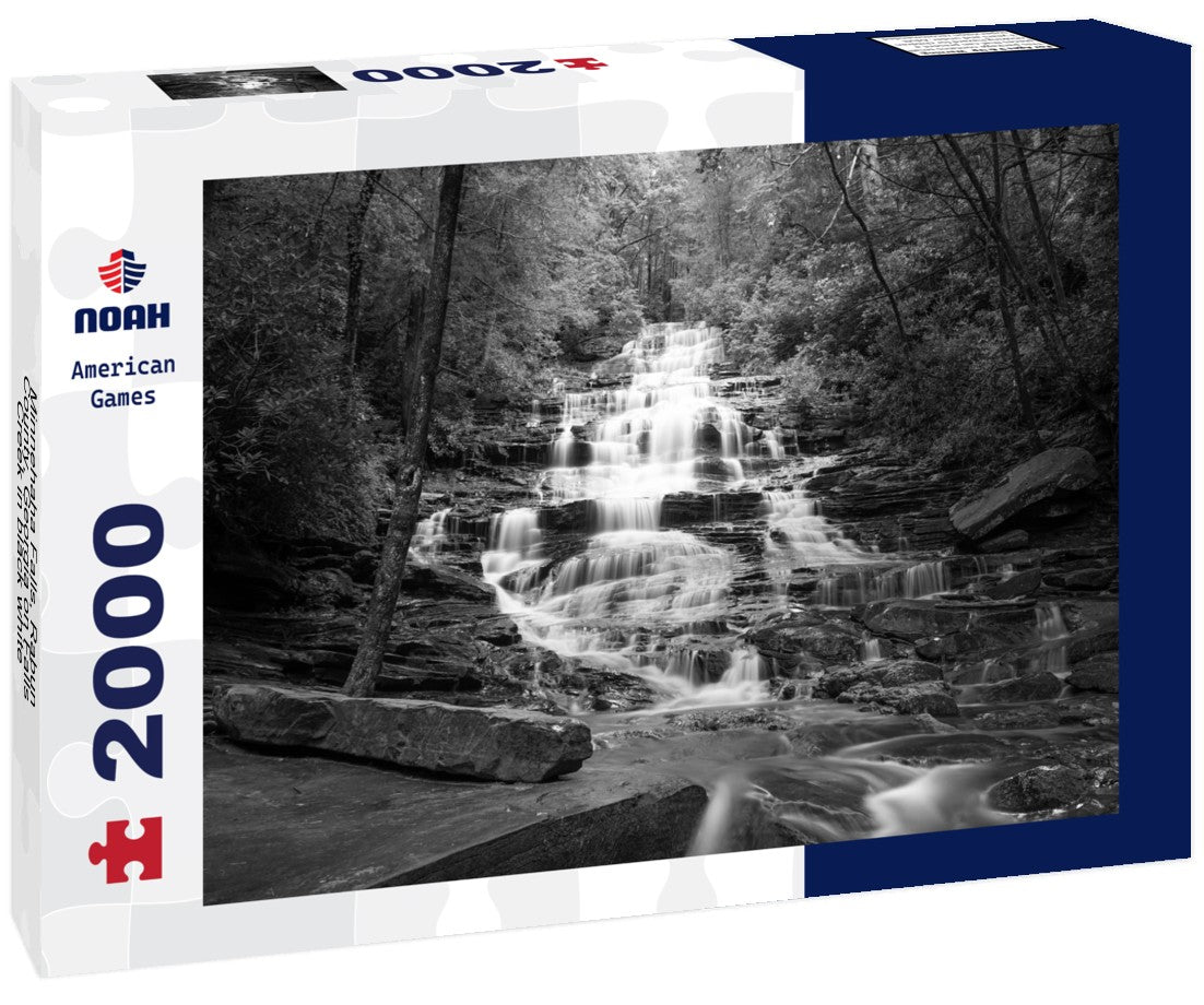 Minnehaha Falls, Rabun County, Georgia on Falls Creek 2000pc PuzzleBlack and White