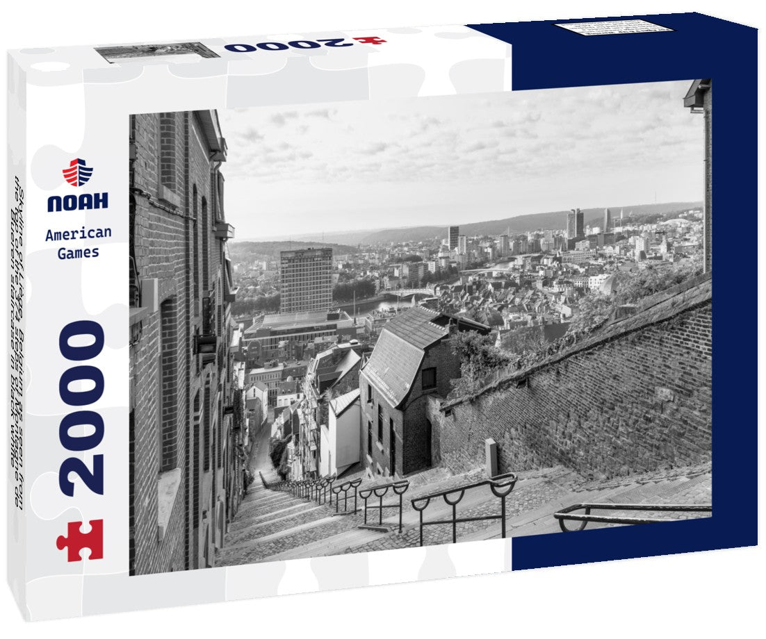 Skyline of Liège, Belgium as seen from the top of the 374 steps of Montagne de Bueren staircase 2000pc PuzzleBlack and White