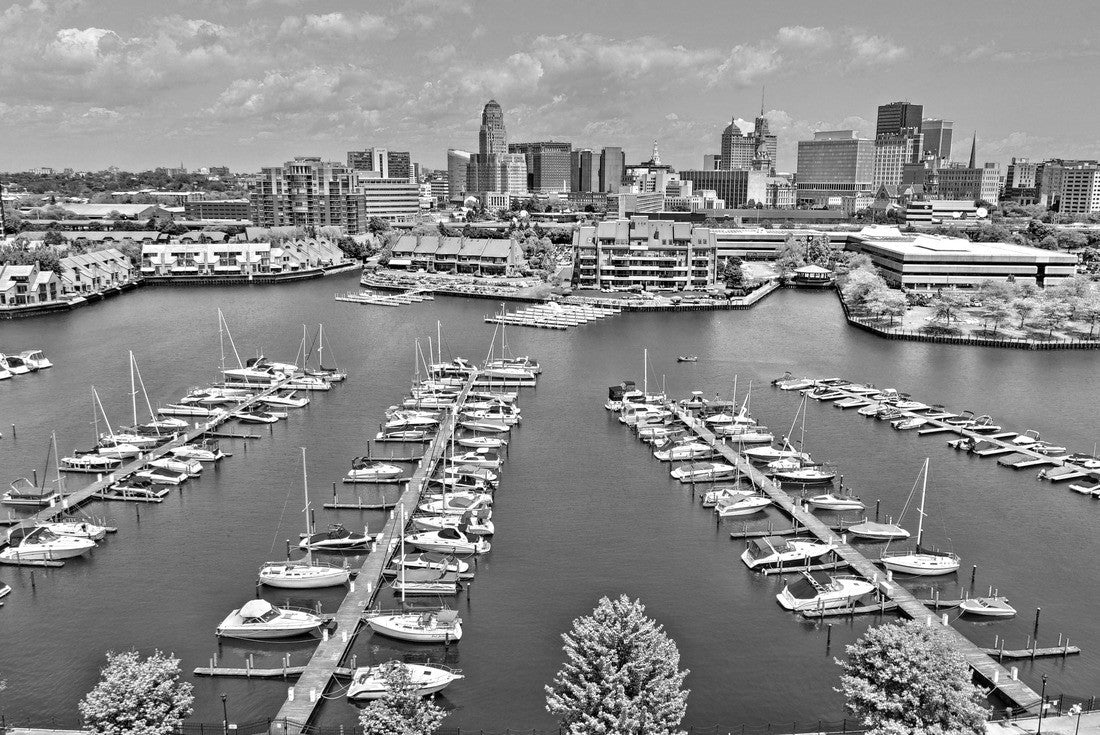 Aerial image captured in Buffalo New York 2000pc PuzzleBlack and White
