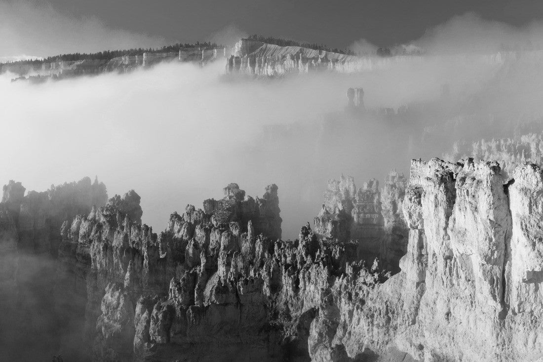 Noah Jigsaw Puzzle Fog in Bryce Canyon National Park, Utah, USA, America in black white 2000 pieces