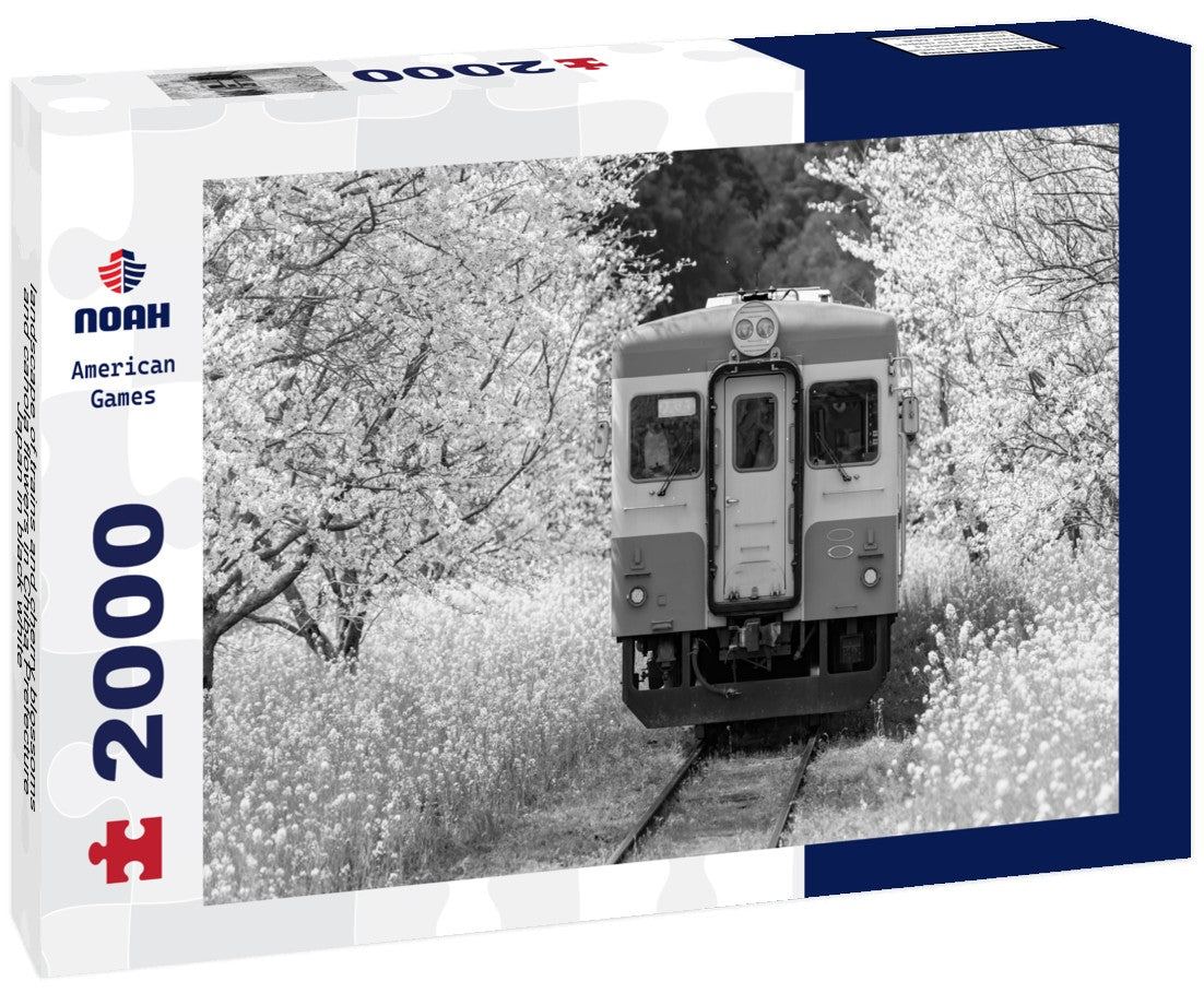 landscape of trains and cherry blossoms and canola flowers in Chiba Prefecture, Japan 2000pc PuzzleBlack and White