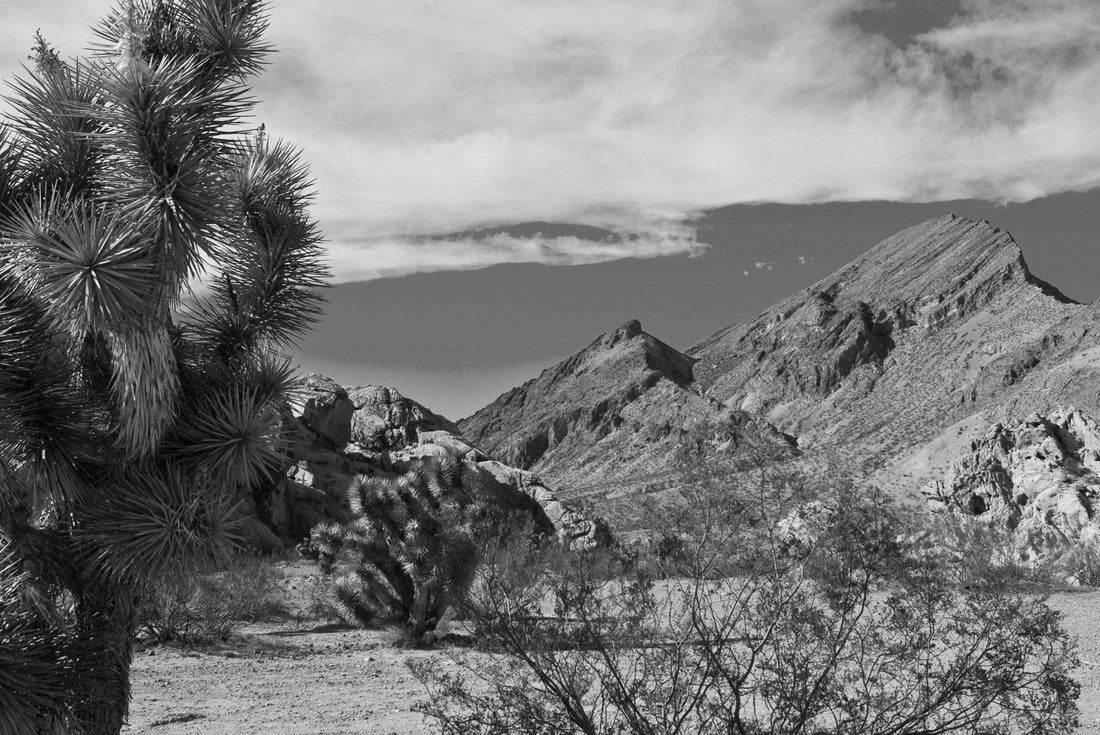 USA, Nevada, Mesquite. Gold Butte National Monument, Whitney Pocket and Black Rock Mountain 2000pc PuzzleBlack and White