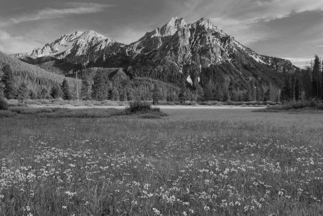 Noah Jigsaw Puzzle USA, Idaho. McGown Peak Sawtooth Mountains in black white 2000 pieces