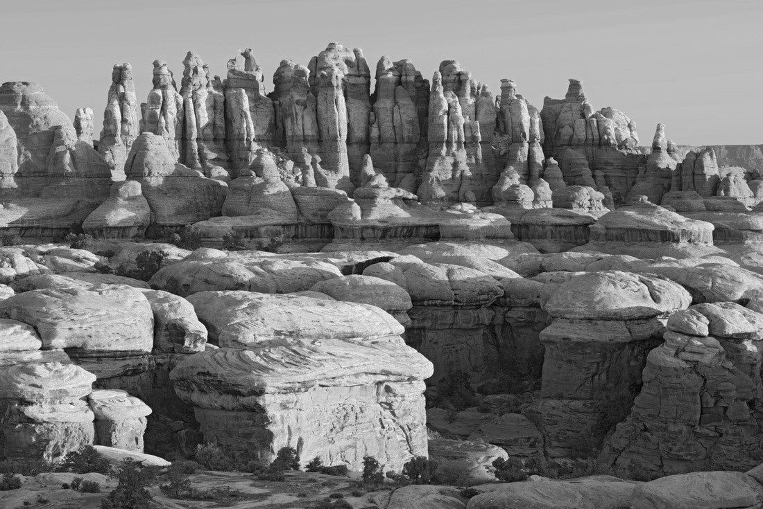 Noah Jigsaw Puzzle UT, Canyonlands National Park, The Needle Rock spires and grabens at Chester Park in black white 2000 pieces