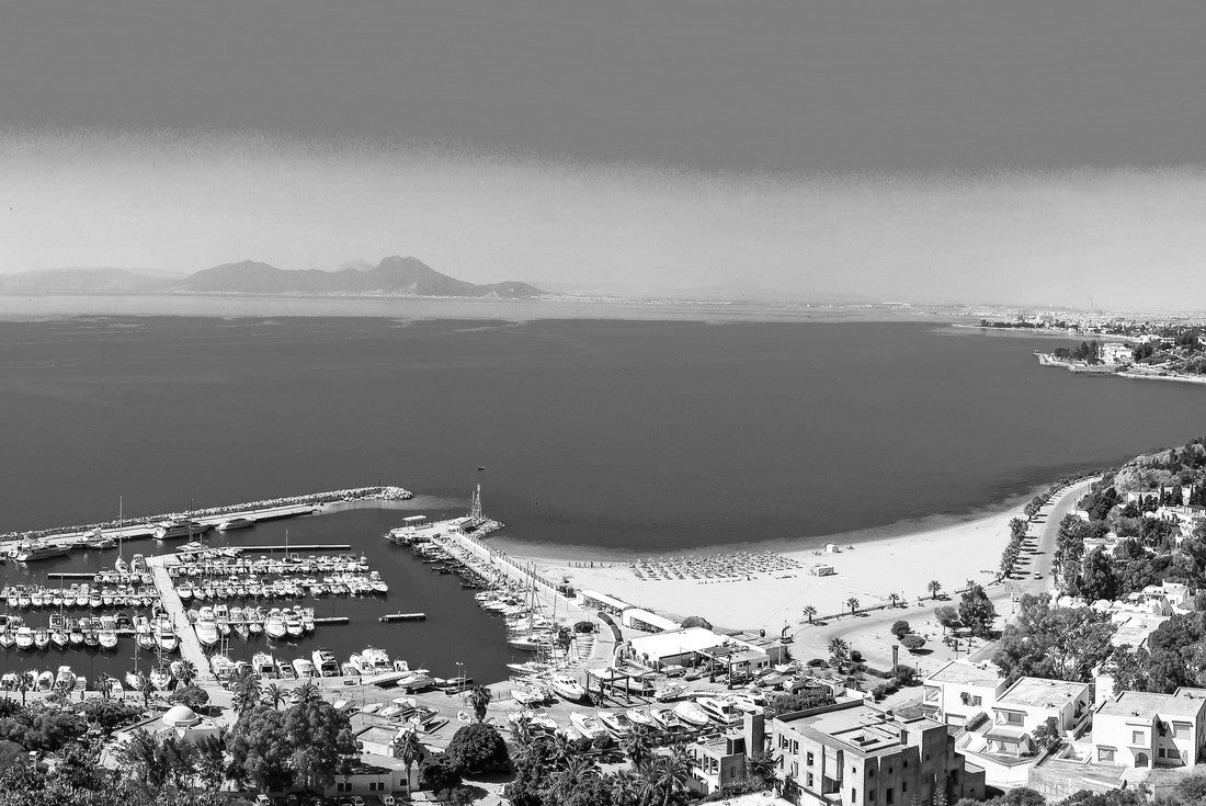 Noah Jigsaw Puzzle Tunisia in black white 2000 pieces