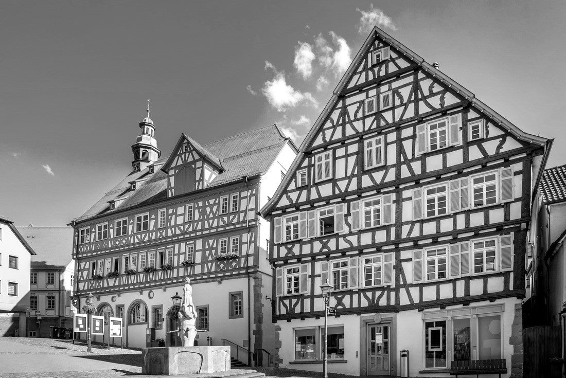 Backnang town hall, Baden-Württemberg, Germany 2000pc PuzzleBlack and White