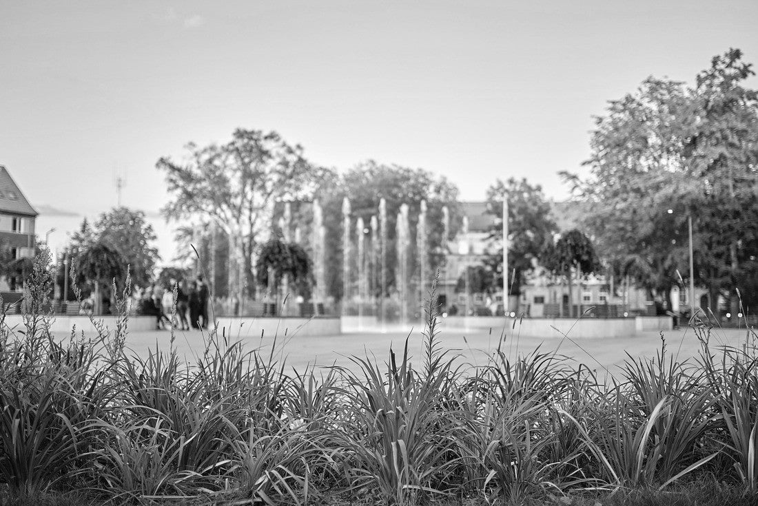 two parks in Slubice, Poland 2000pc PuzzleBlack and White
