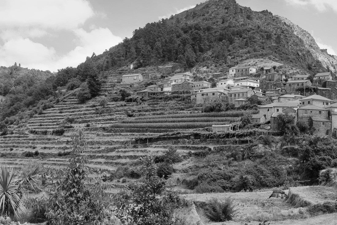 Noah Jigsaw Puzzle Viewpoint of the Terraces looking out over the landscape (famous view of the landscape of Tibet), Sistelo, Arcos de Valdevez, Portugal in black white 2000 pieces