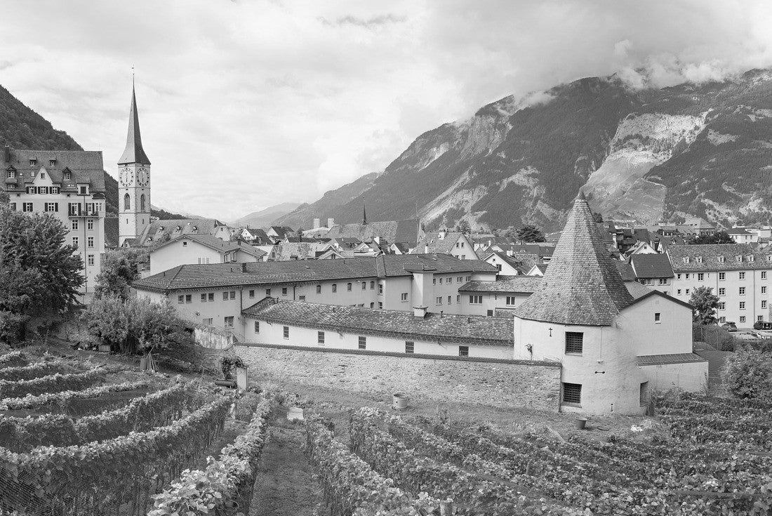 Old town of former Roman city of Chur in Switzerland, with vineyard in the foreground 2000pc PuzzleBlack and White