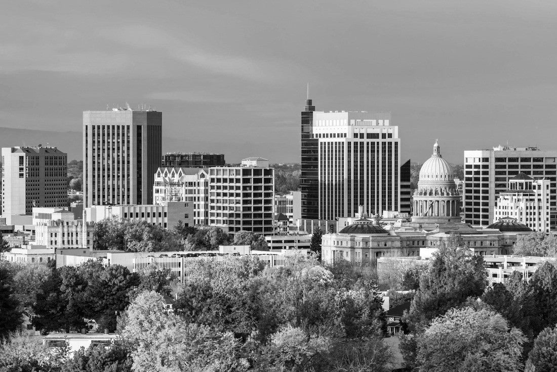 City of trees Boise Idaho with fall colors 2000pc PuzzleBlack and White