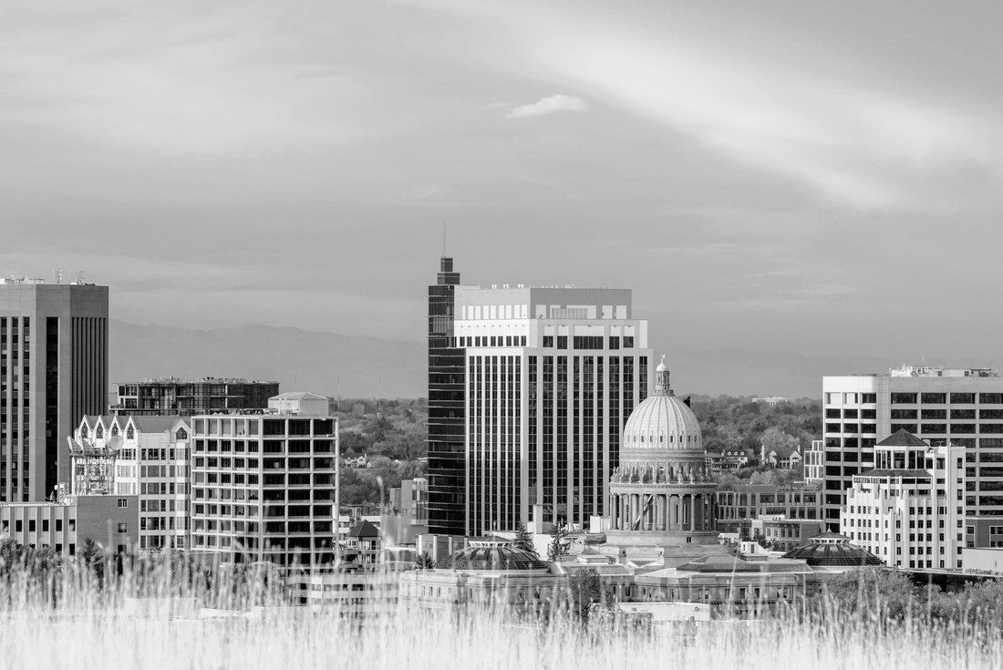 Noah Jigsaw Puzzle Boise Idaho skyline with tan colored grass foreground in black white 2000 pieces