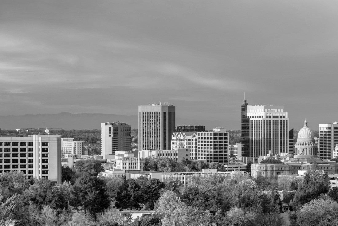 The skyline of Boise Idaho with Autumn trees in full bloom 2000pc PuzzleBlack and White