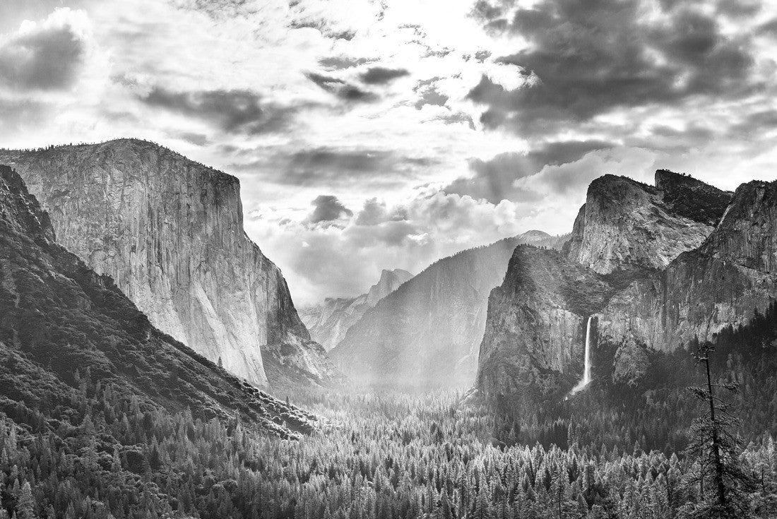 Noah Jigsaw Puzzle Yosemite Valley, Yosemite National Park in black white 2000 pieces