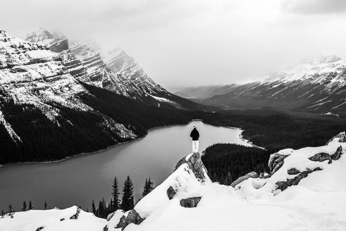 Noah Jigsaw Puzzle View of Peyto Lake, Banff National Park, Alberta in black white 2000 pieces