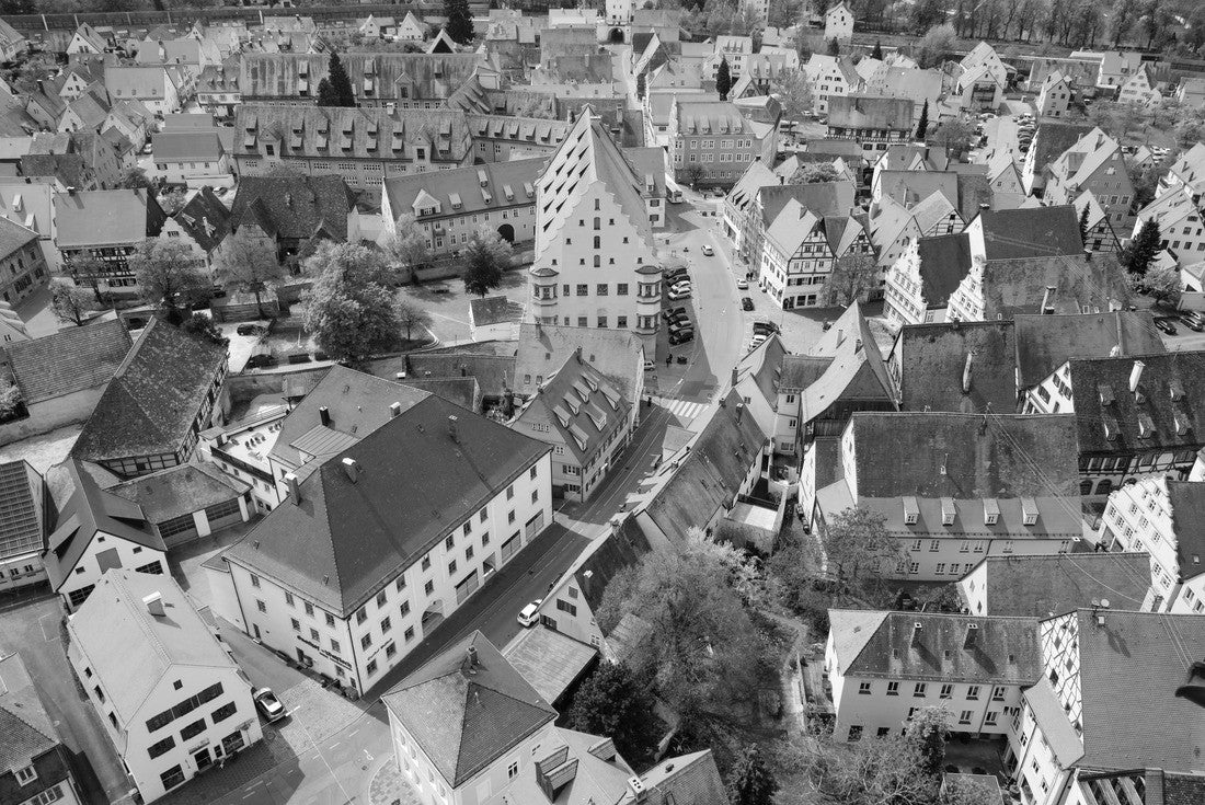Noah Jigsaw Puzzle View from St. Georgs Church - Nördlingen, Germany. Tilt shift effect in black white 2000 pieces