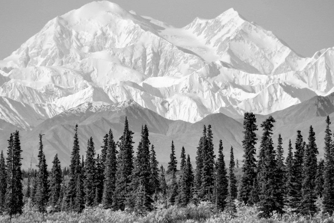 Denali is the highest mountain peak in North America, located in Alaska 2000pc PuzzleBlack and White