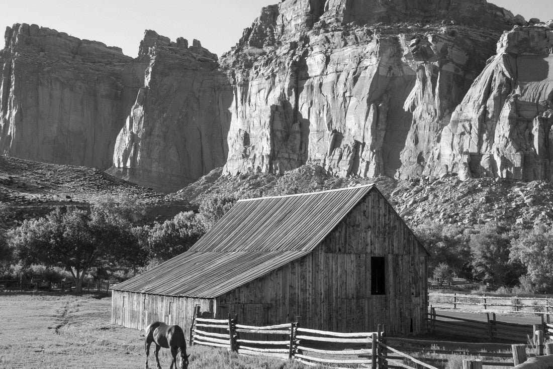Horse and Historic Barn at Capitol Reef, Utah. Red Cliffs in Background 2000pc PuzzleBlack and White