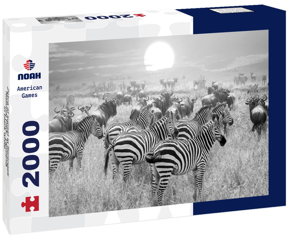 Zebra at sunset in Serengeti National Park, Tanzania 2000pc PuzzleBlack and White