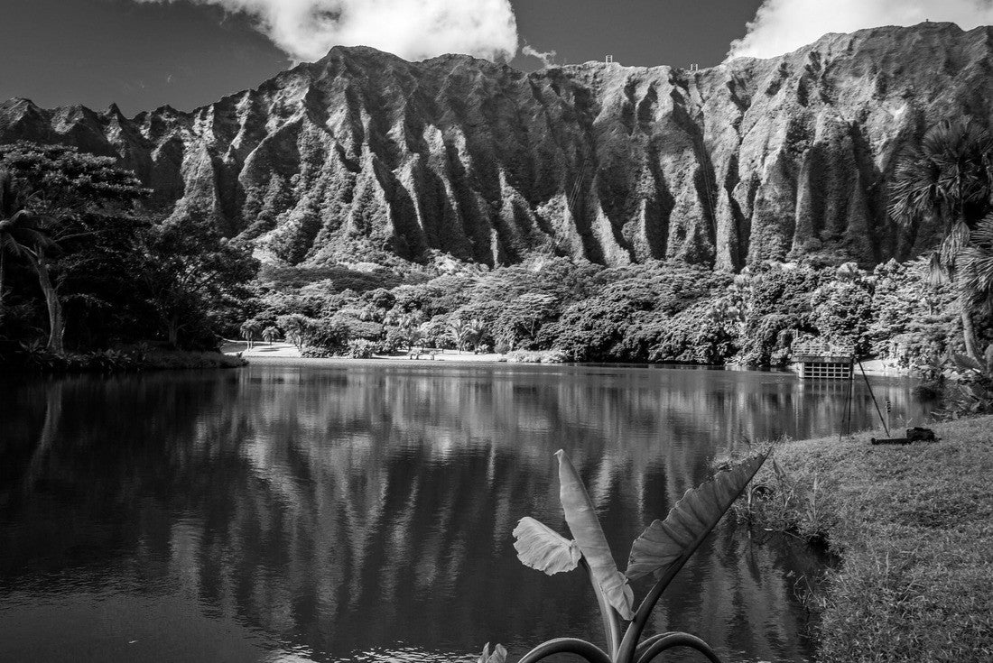 Ho'omaluhia Botanical Garden in Kaneohe, Oahu, Hawaii 2000pc PuzzleBlack and White