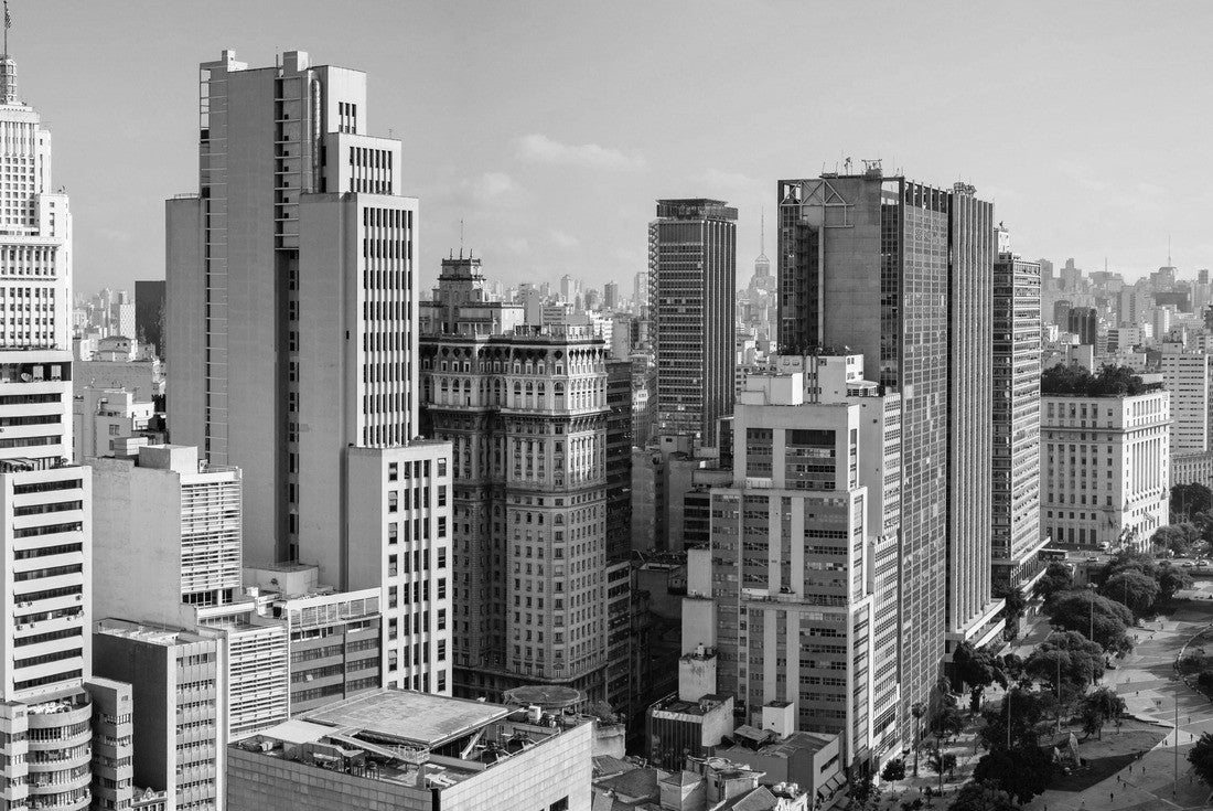 Sao Paulo as the crow flies - Brazil 2000pc PuzzleBlack and White