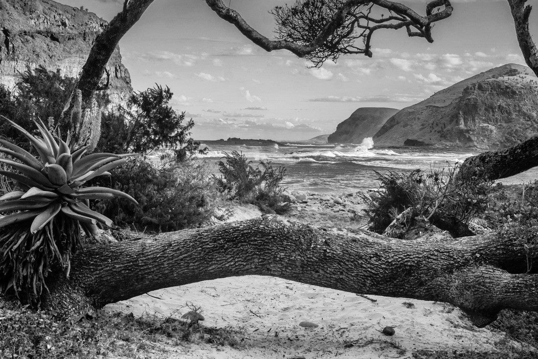 nature around the hole in the wall at Coffee Bay on the Wild Coast, Republic of South Africa 2000pc PuzzleBlack and White