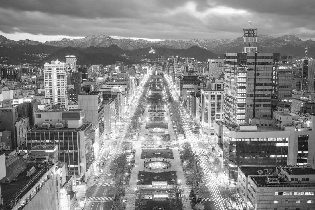 Noah Jigsaw Puzzle Sapporo Night View from Sapporo TV Tower in Sapporo City, Hokkaido, Japan in black white 2000 pieces