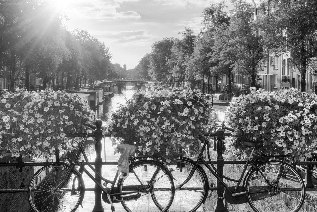 Noah Jigsaw Puzzle Beautiful summer sunrise on the famous UNESCO World Heritage canals of Amsterdam, Netherlands, with vibrant flowers and bicycles on a bridge in black white 2000 pieces