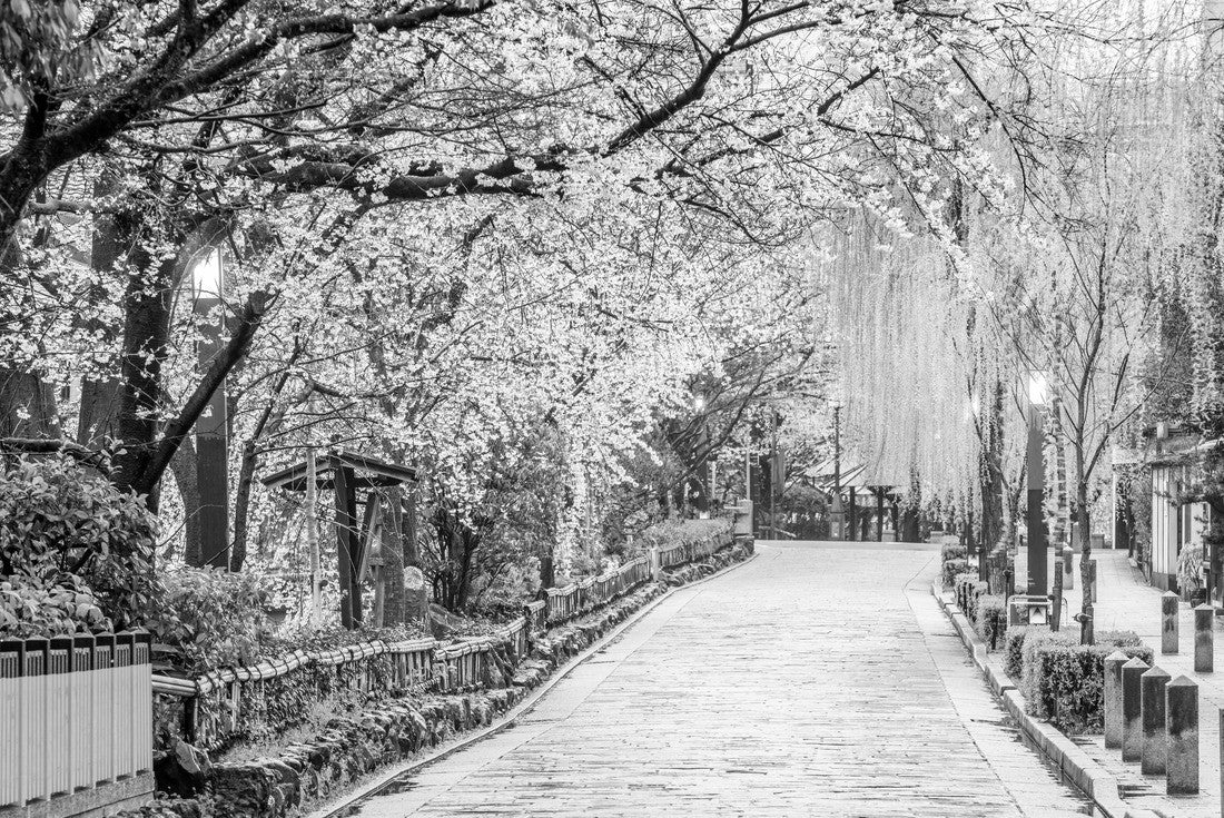 Gion Shirakawa, Kyoto, Japan in spring 2000pc PuzzleBlack and White