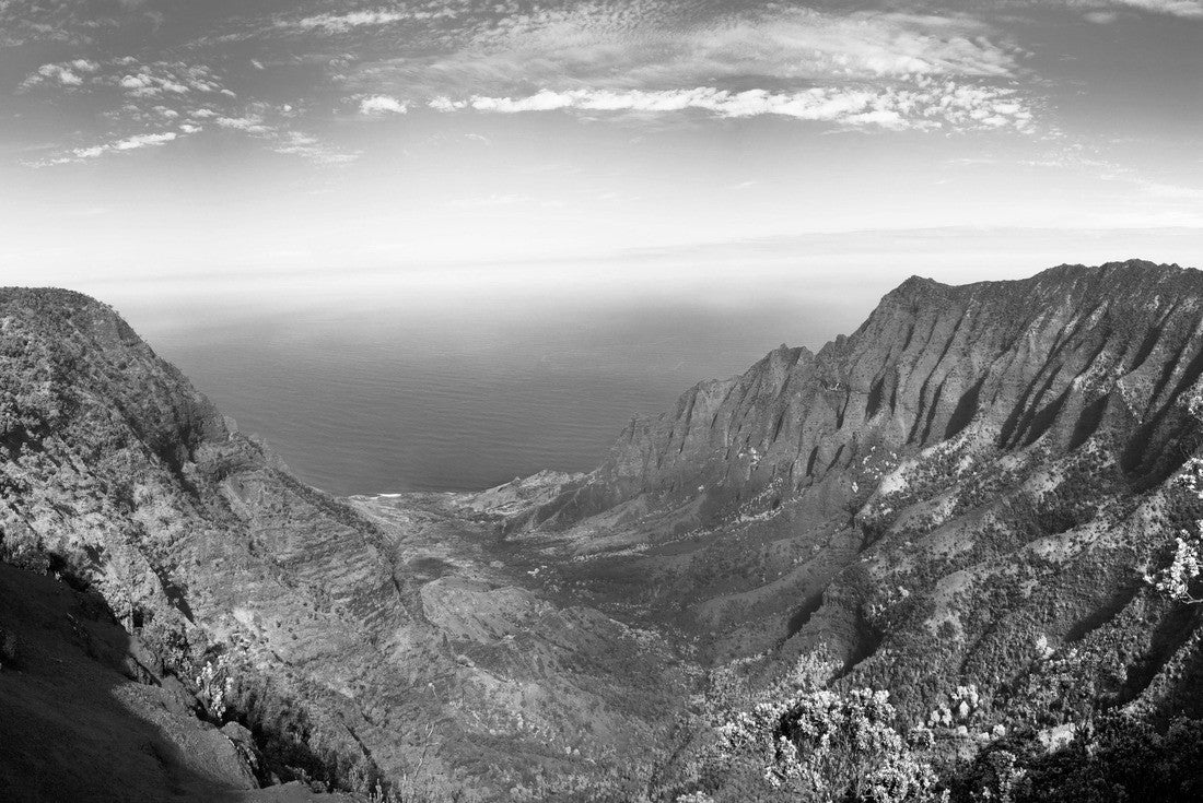 lush green foliage in Weimea Canyon and NaPali Coast, Kauai, Hawaii 2000pc PuzzleBlack and White