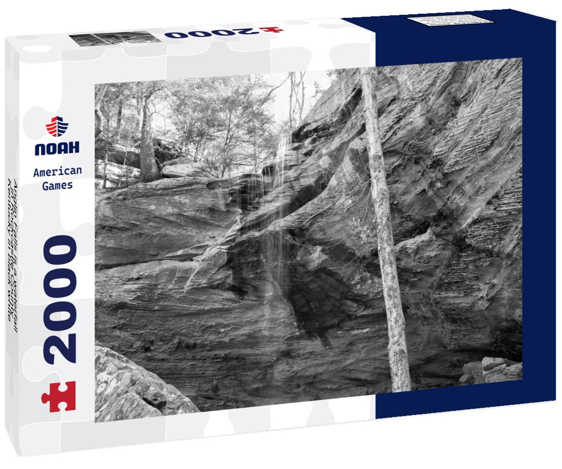 Anglin Falls is a waterfall in Rockcastle County, Kentucky 2000pc PuzzleBlack and White