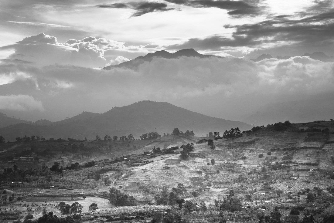 Noah Jigsaw Puzzle View of the Rwenzori Mountains around Fort Portal - Uganda in black white 2000 pieces