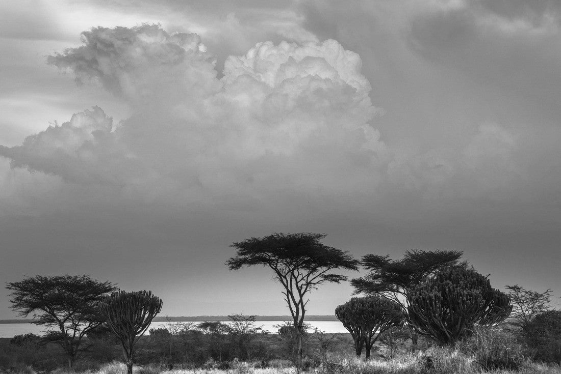 Lake Edward in Queen Elizabeth National Park, Uganda 2000pc PuzzleBlack and White