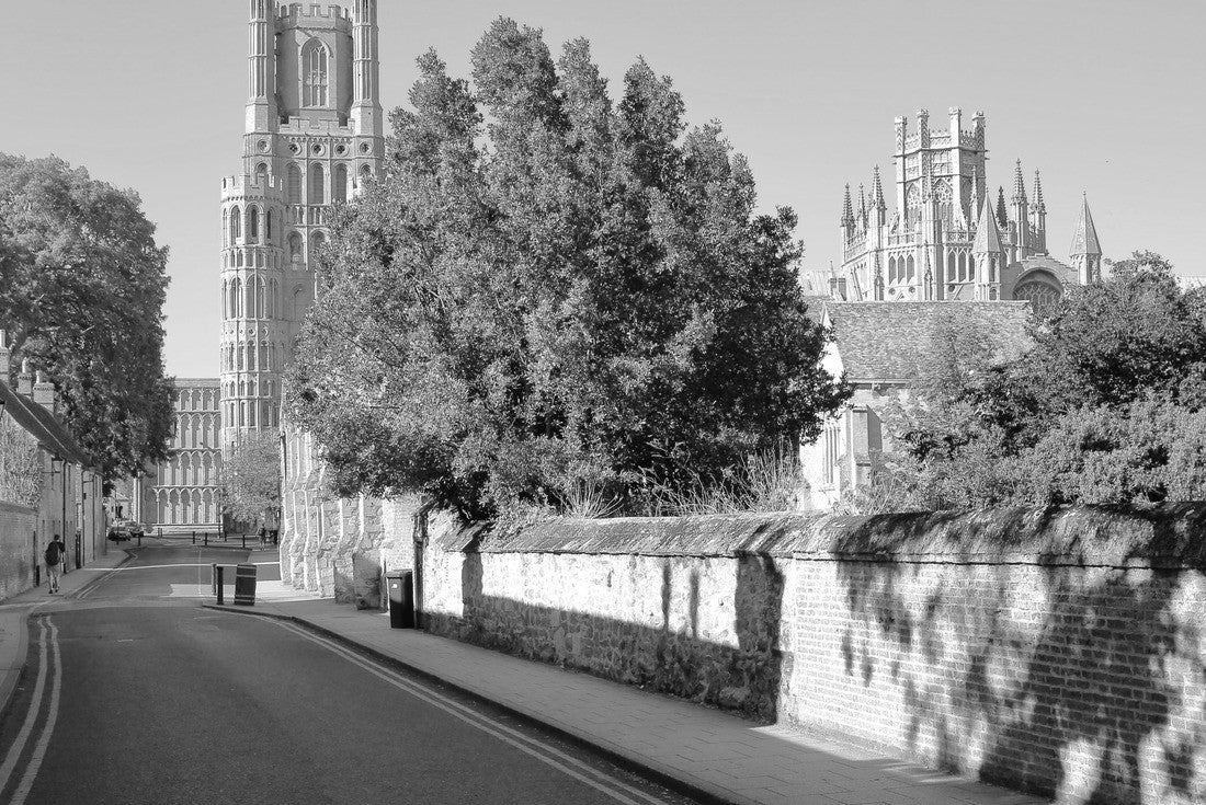 the south section of Ely Cathedral from Gallery Street in Ely, Cambridgeshire, United Kingdom 2000pc PuzzleBlack and White
