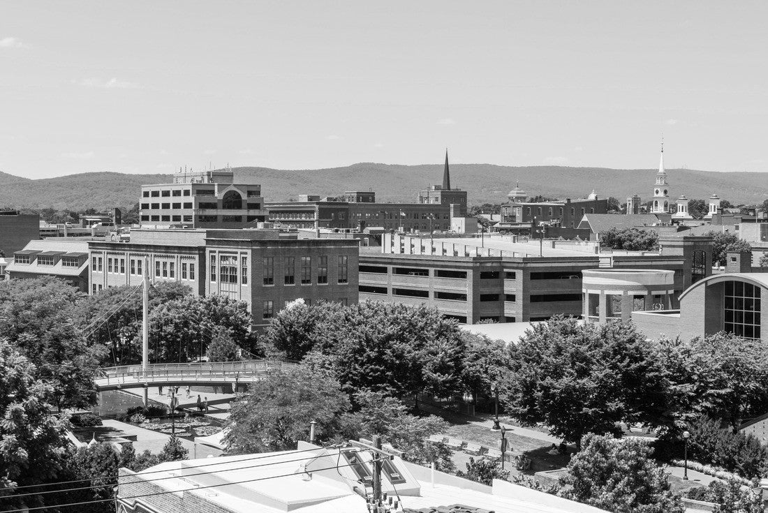 Aerial of Downtown Frederick and Carrol Creek Promenade in Frederick, Maryland 2000pc PuzzleBlack and White