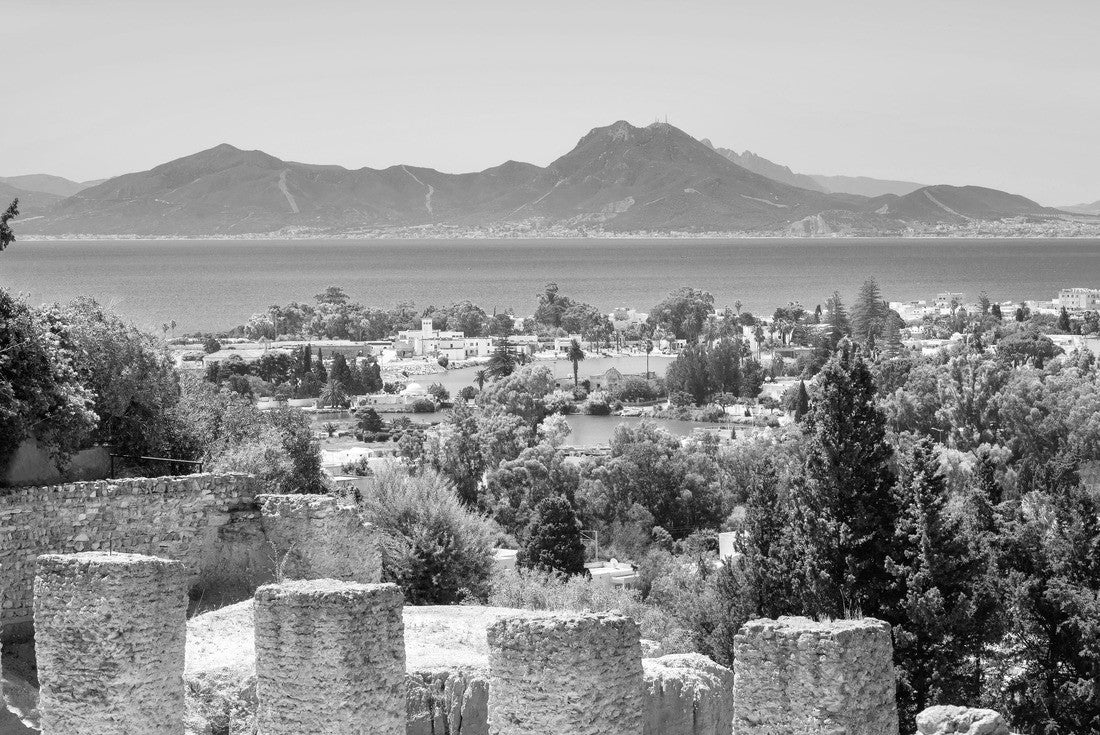 Noah Jigsaw Puzzle Landscape with ancient ruins of Carthage. Tunisia, Africa in black white 2000 pieces