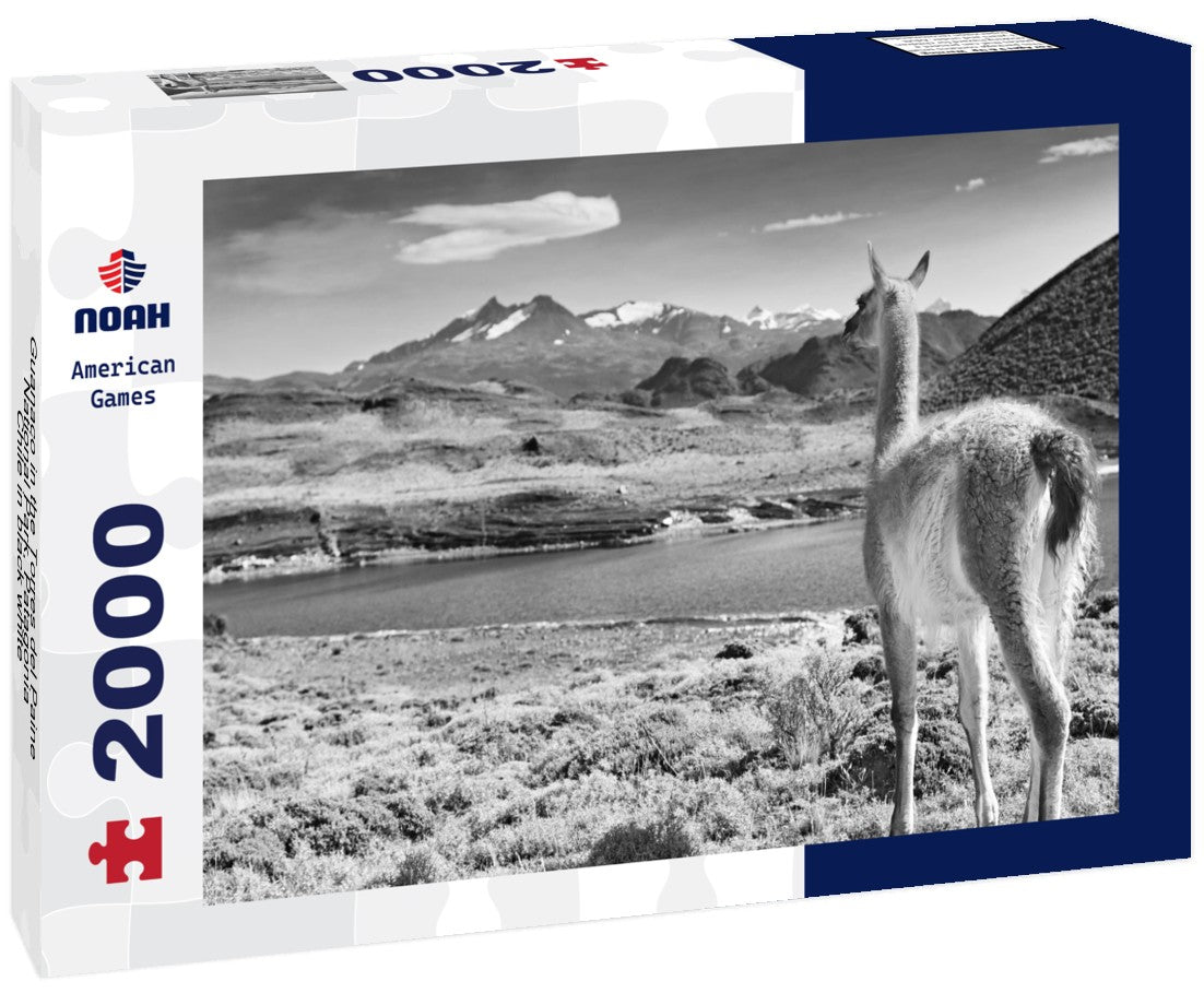 Guanaco in the Torres del Paine National Park, Patagonia, Chile 2000pc PuzzleBlack and White