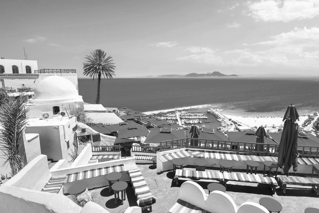 Noah Jigsaw Puzzle Beautiful view of the sea and the white and blue village of Sidi Bou Said. Tunisia in black white 2000 pieces